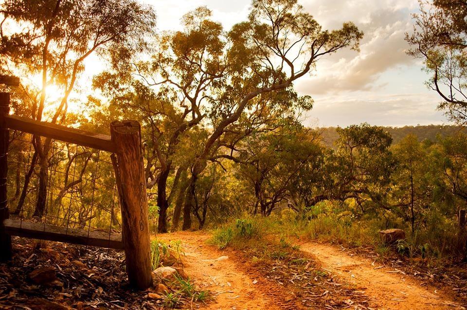 Kurrajong Trails & Cottages Wheeny Creek Exterior foto